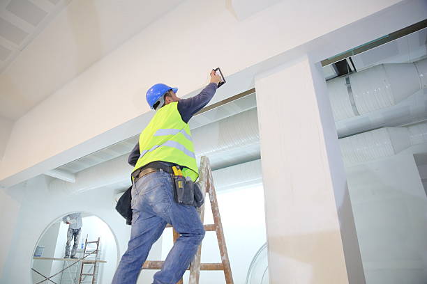 Best Biohazard Mold Removal  in Oceanside, CA